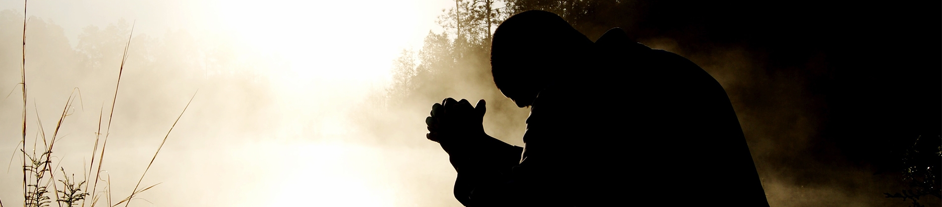 A man with his hands clasped in prayer with a misty forest in front of him A man with his hands clasped in prayer with a misty forest in front of him