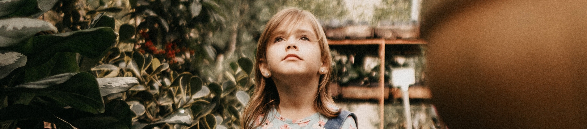 A child looking upwards surrounded by bushes and plants A child looking upwards surrounded by bushes and plants