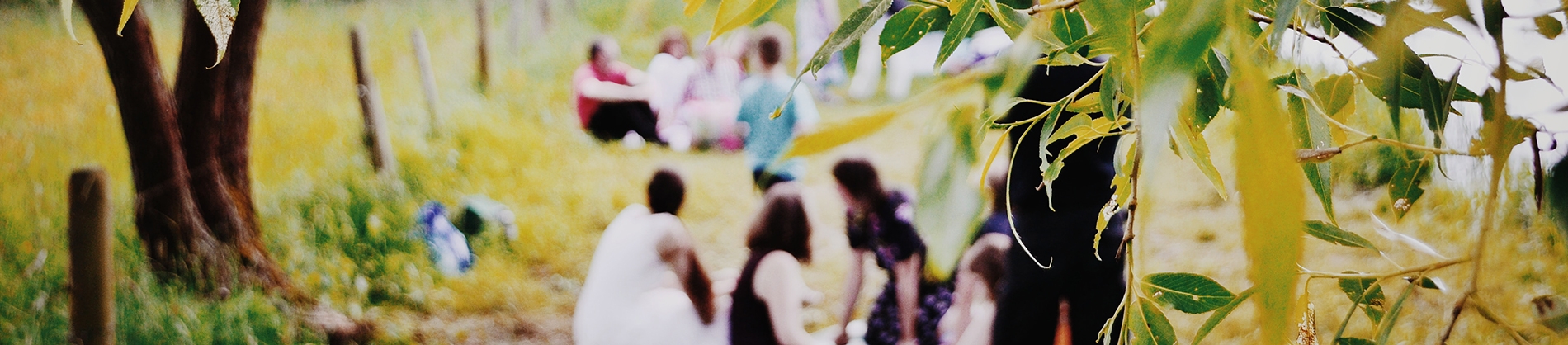 A group of people sat on the grass having picnics A group of people sat on the grass having picnics