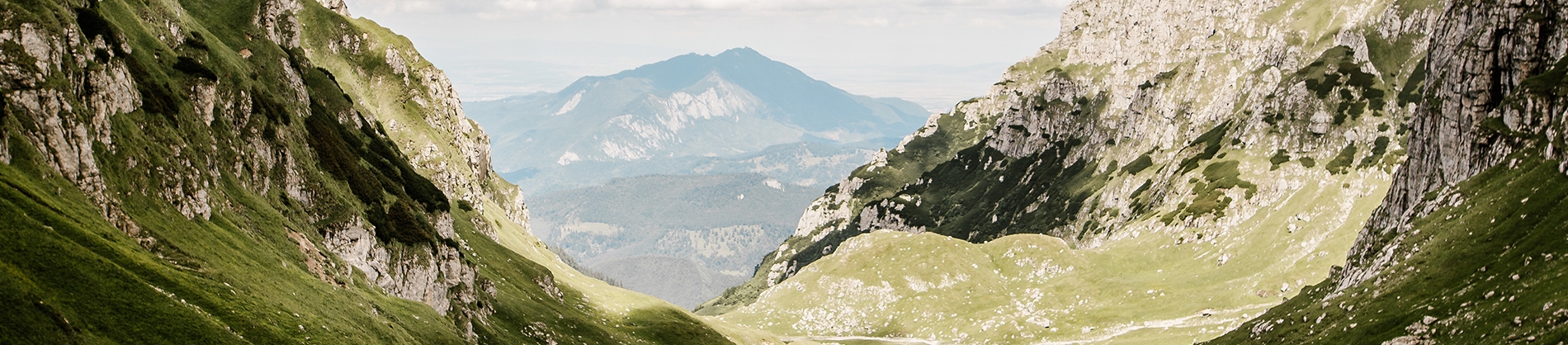 A green valley with a mountain range behind A green valley with a mountain range behind