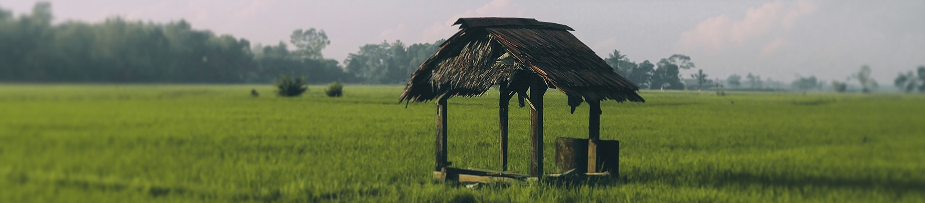 Wooden well in the middle of a field