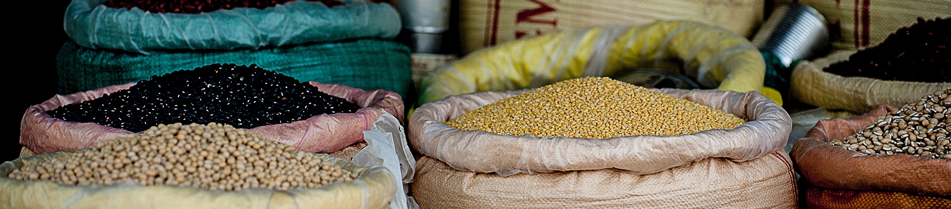A variety of seed in large bags