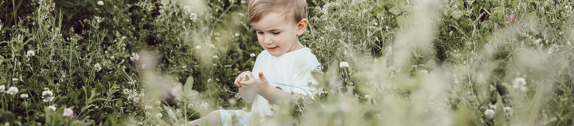 A child sat in a field of flowers A child sat in a field of flowers