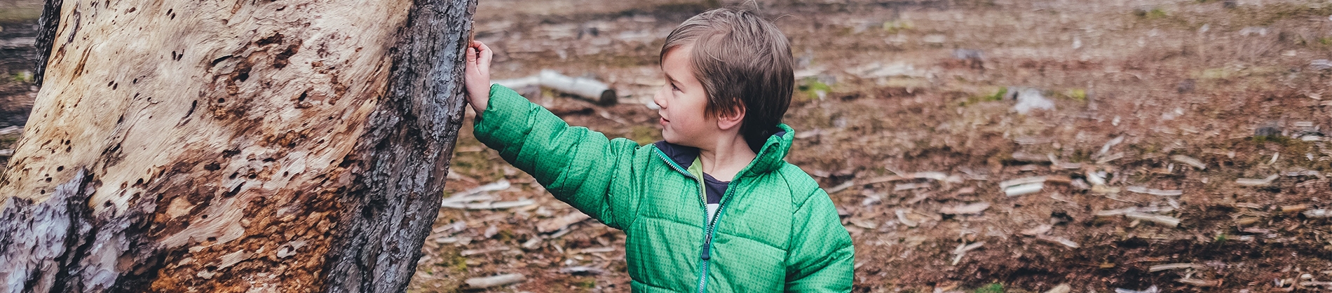 A young boy in a green coat leaning against a tree trunk A young boy in a green coat leaning against a tree trunk