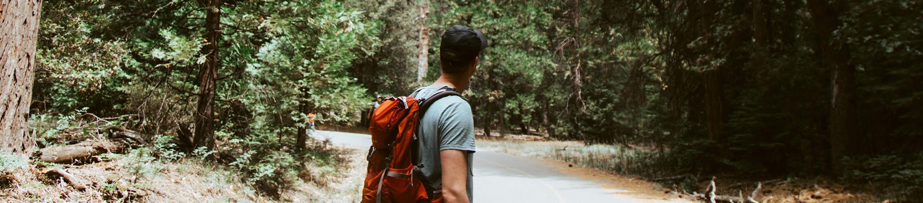 A man wearing a rucksack looking back on a road leading to trees A man wearing a rucksack looking back on a road leading to trees