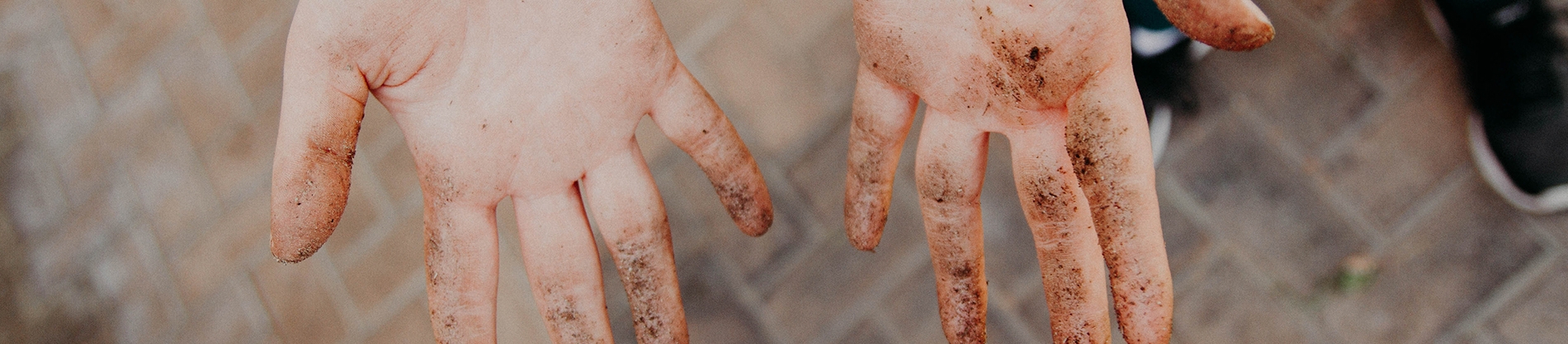 A persons hands with dirt on the fingers A persons hands with dirt on the fingers