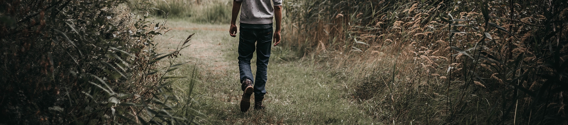 A man walking down a path surrounded by foliage A man walking down a path surrounded by foliage