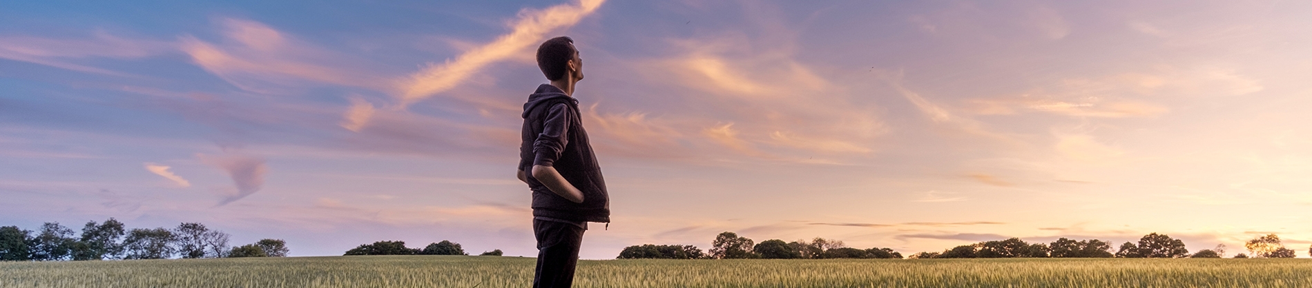 A man stood in a field looking up to a sunset sky A man stood in a field looking up to a sunset sky