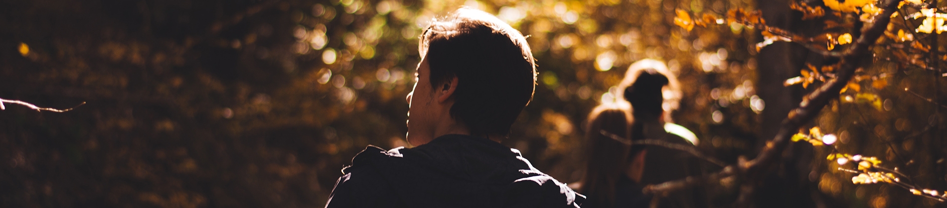 A man walking through a forest A man walking through a forest