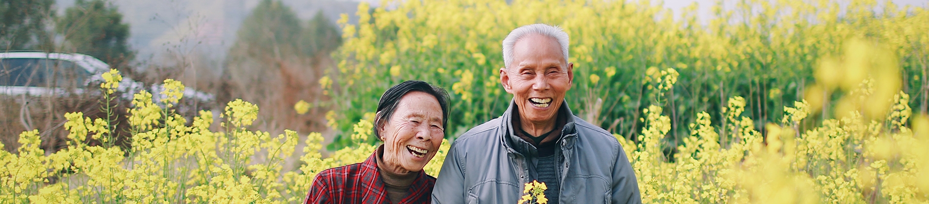 Two elderly people walking through a field of flowers Two elderly people walking through a field of flowers