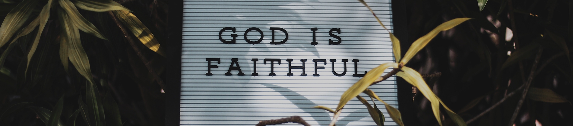 A sign saying 'God is faithful' leaning against some plants A sign saying 'God is faithful' leaning against some plants