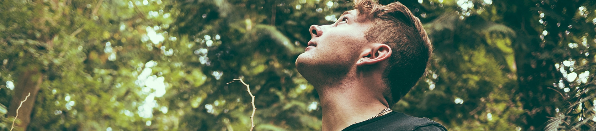 A man looking up through the trees to the sky A man looking up through the trees to the sky