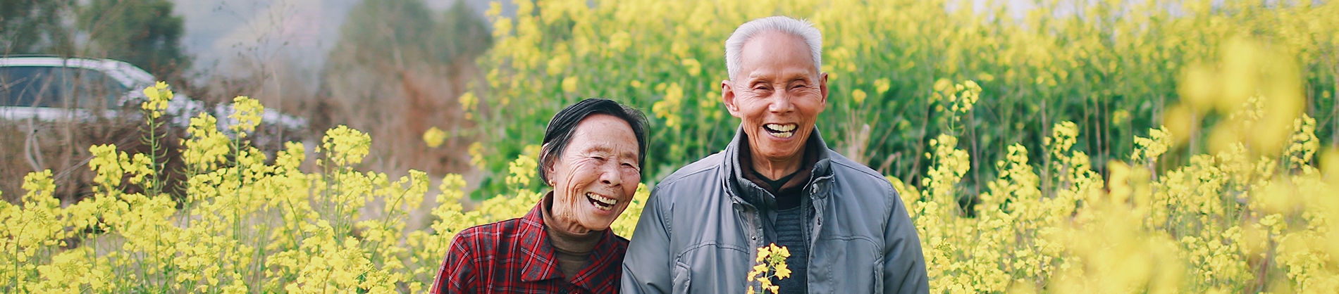 Two elderly friends walking through yellow flowers Two elderly friends walking through yellow flowers