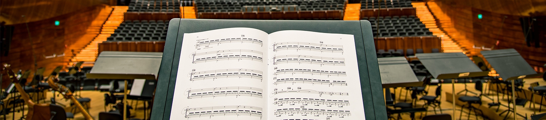 Orchestra pit with conductor stand and sheet music Orchestra pit with conductor stand and sheet music