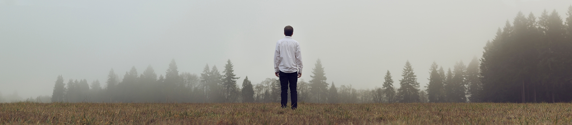 A man in a white shirt stood in a field looking towards misty trees in the distance A man in a white shirt stood in a field looking towards misty trees in the distance