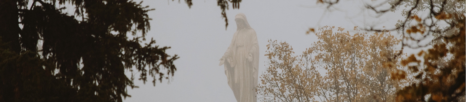 A statue in the middle of a forest of trees A statue in the middle of a forest of trees