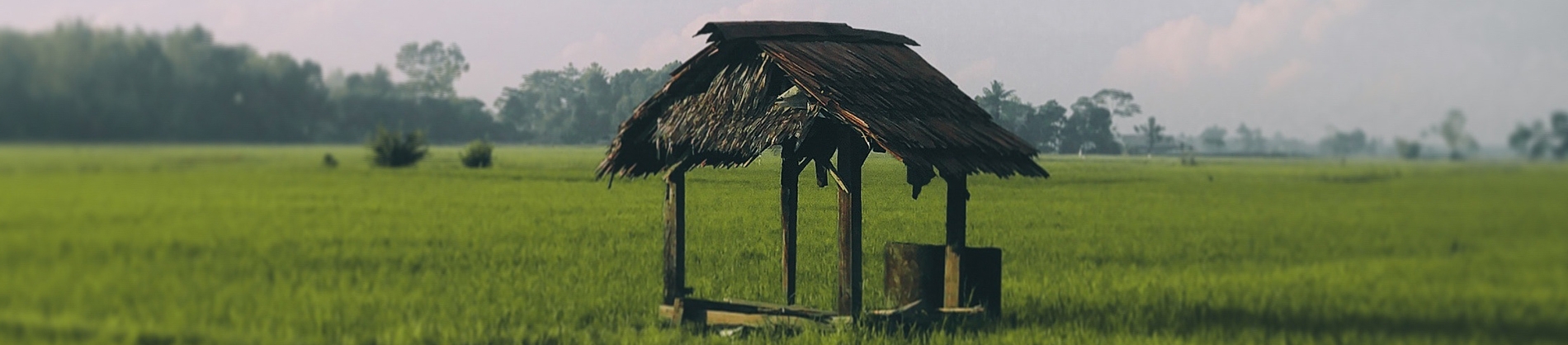 A man-made wooden well in the middle of a field A man-made wooden well in the middle of a field