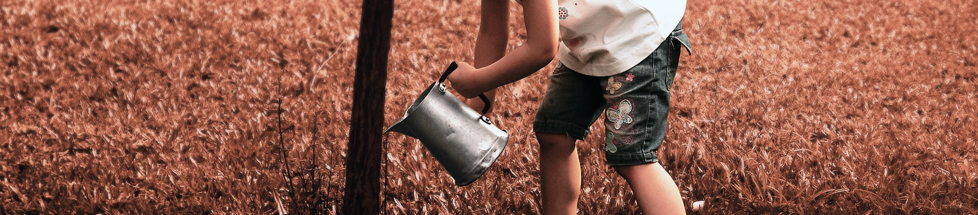 A young child pouring water from a metal watering can onto a tree A young child pouring water from a metal watering can onto a tree