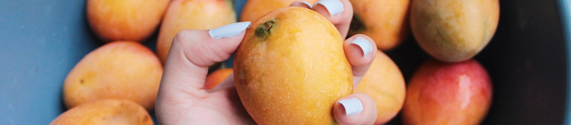 A women holding an orange A women holding an orange
