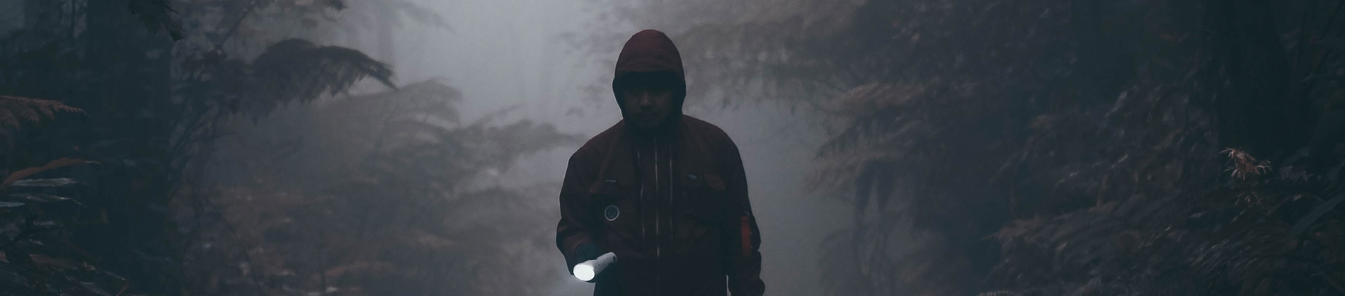 A man walking through a dark forest with a torch A man walking through a dark forest with a torch