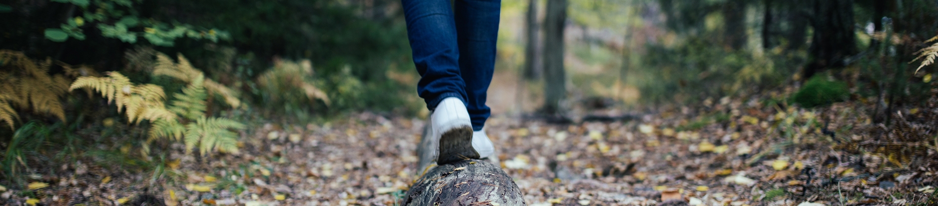 A person walking along a fallen tree trunk