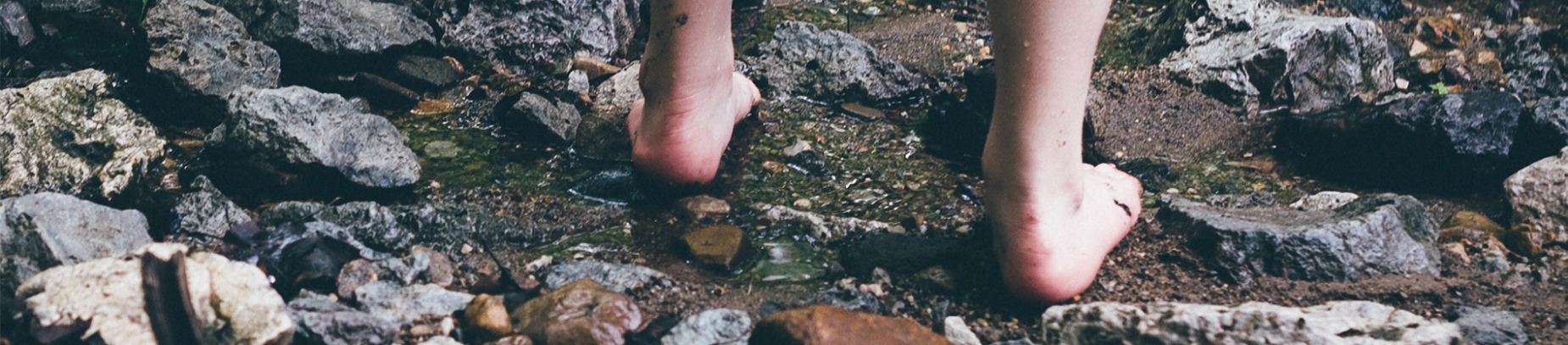 A person bare foot walking through a stream A person bare foot walking through a stream