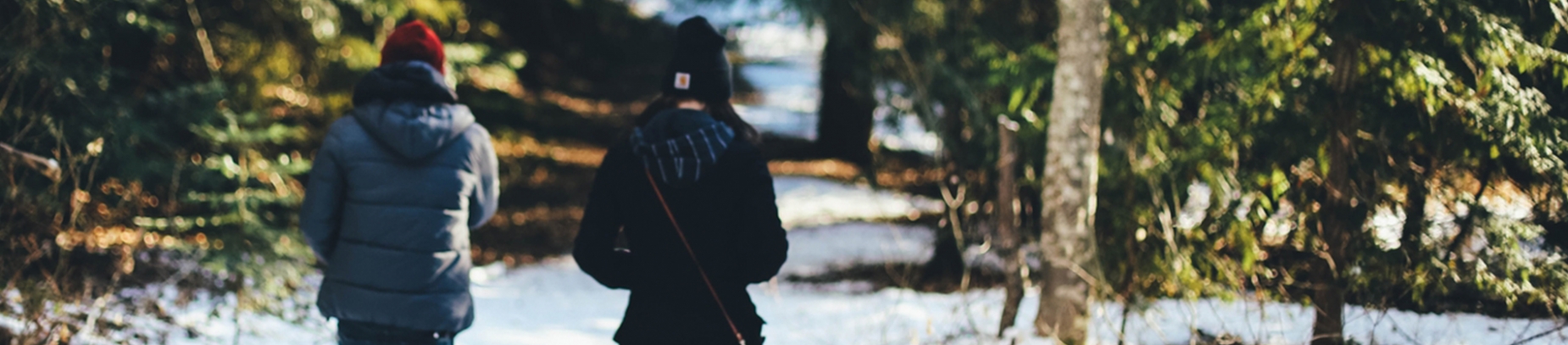 Two friends walking through a snowy forest Two friends walking through a snowy forest