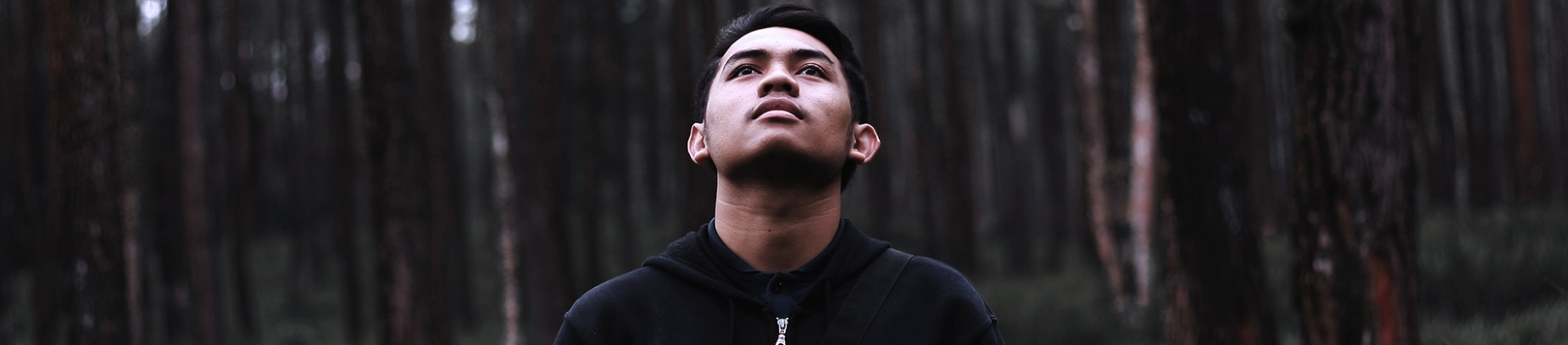 A guy stood in a forest looking up to the sky A guy stood in a forest looking up to the sky