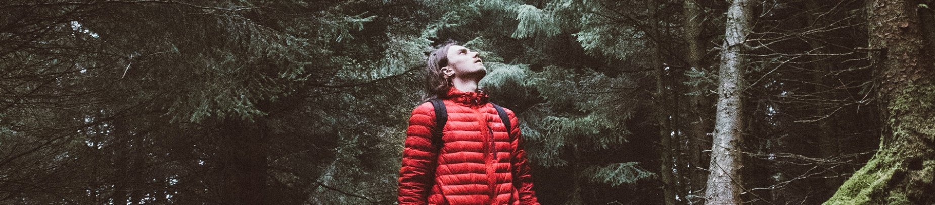 A man in a red coat stood in a forest looking up to the sky A man in a red coat stood in a forest looking up to the sky