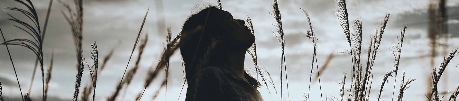 A women stood in a wheat field looking up to the sky A women stood in a wheat field looking up to the sky