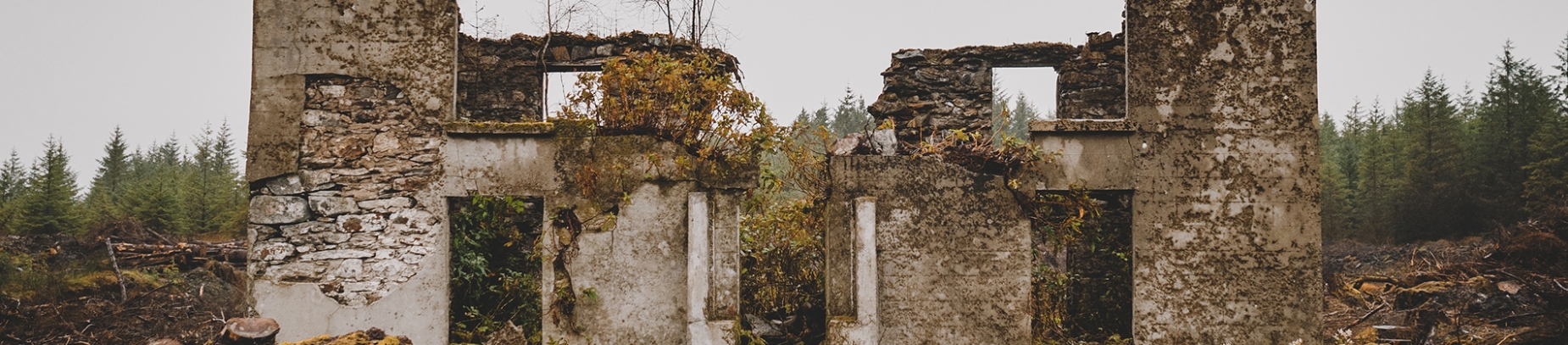 Ruined building with a forest behind Ruined building with a forest behind