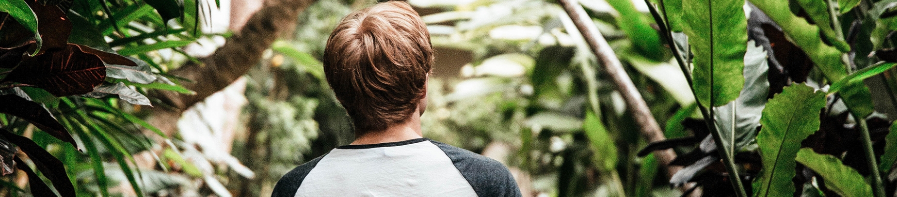 A man walking through a forest A man walking through a forest