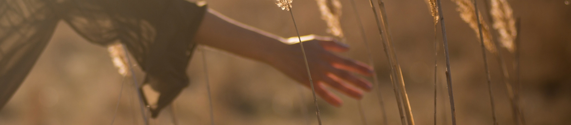 A women brushing her hand over wheat in a field A women brushing her hand over wheat in a field