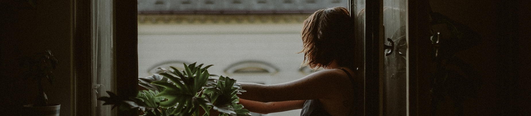 A women sat in a open window looking out