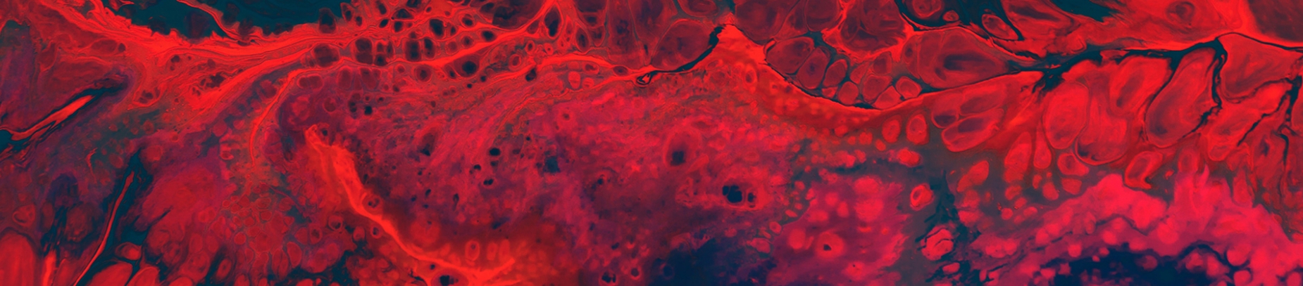 Blood particles Blood particles