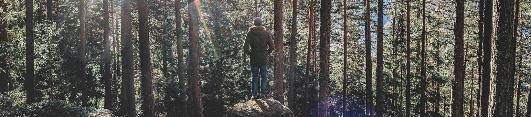 A man stood on a rock looking into a forest A man stood on a rock looking into a forest
