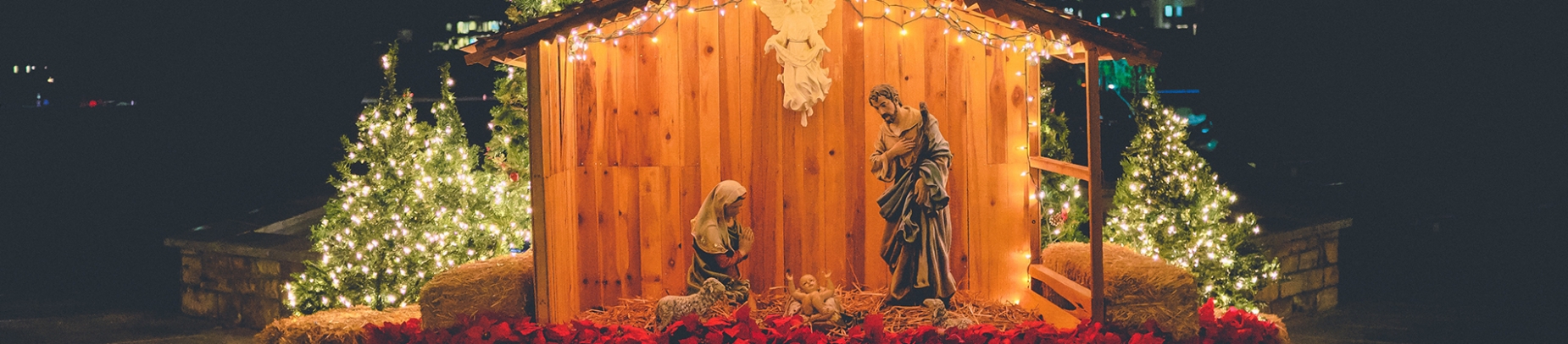 A nativity scene surrounded by lights on trees A nativity scene surrounded by lights on trees