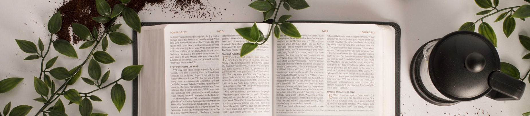Open Bible with plants, a coffee jug and soil surround it Open Bible with plants, a coffee jug and soil surround it