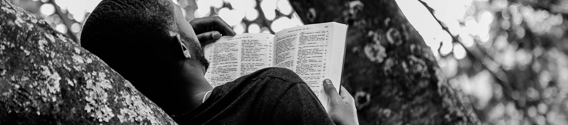 A man lying on a tree branch reading his bible A man lying on a tree branch reading his bible