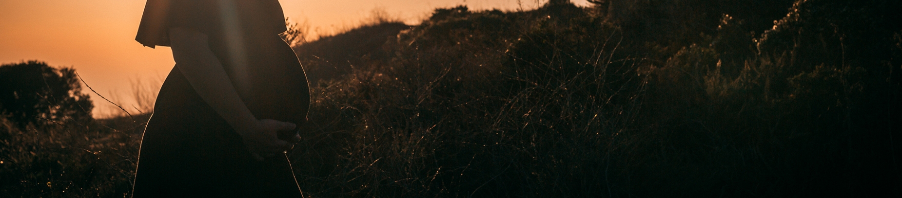 A pregnant women stood in a field at sunset A pregnant women stood in a field at sunset