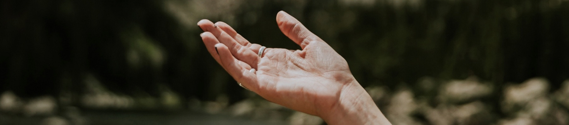 A women's open hand facing the sky A women's open hand facing the sky