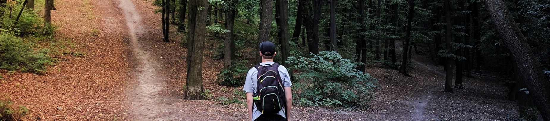 A man stood in a forest looking at two paths in front of him A man stood in a forest looking at two paths in front of him