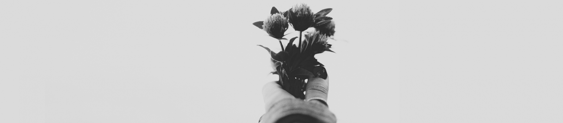 A women's hand holding out a plant A women's hand holding out a plant