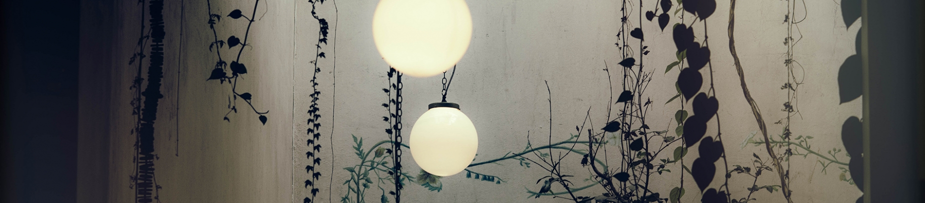 A wall with plants growing up it and round lightbulbs coming from the ceiling A wall with plants growing up it and round lightbulbs coming from the ceiling