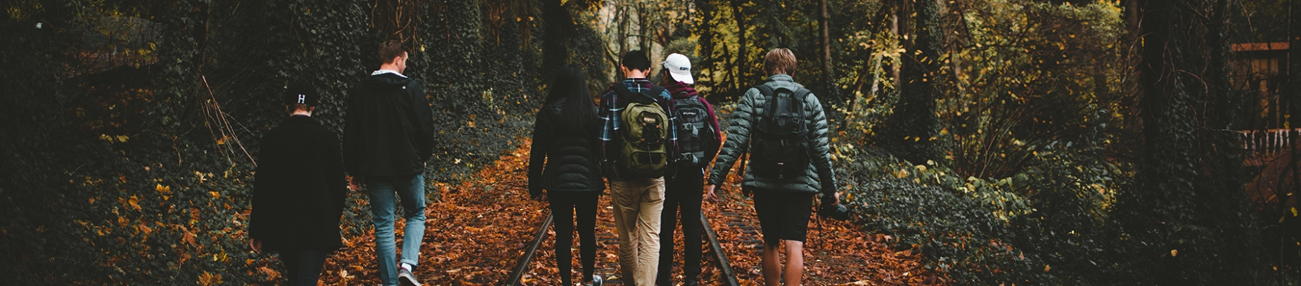 Group of friends walking through a forest