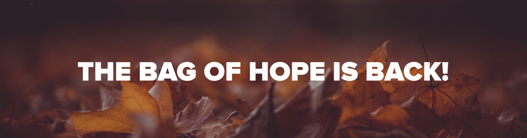 The bag of hope is back! The bag of hope is back!