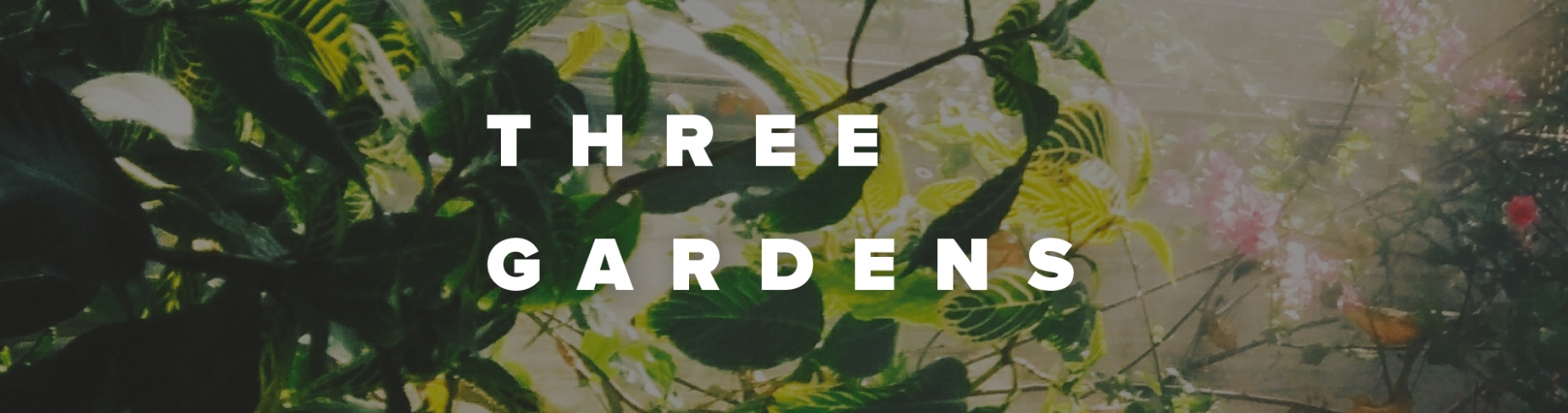 Three Gardens Three Gardens